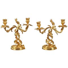 Pair of Candelabras in Louis XV Style 5