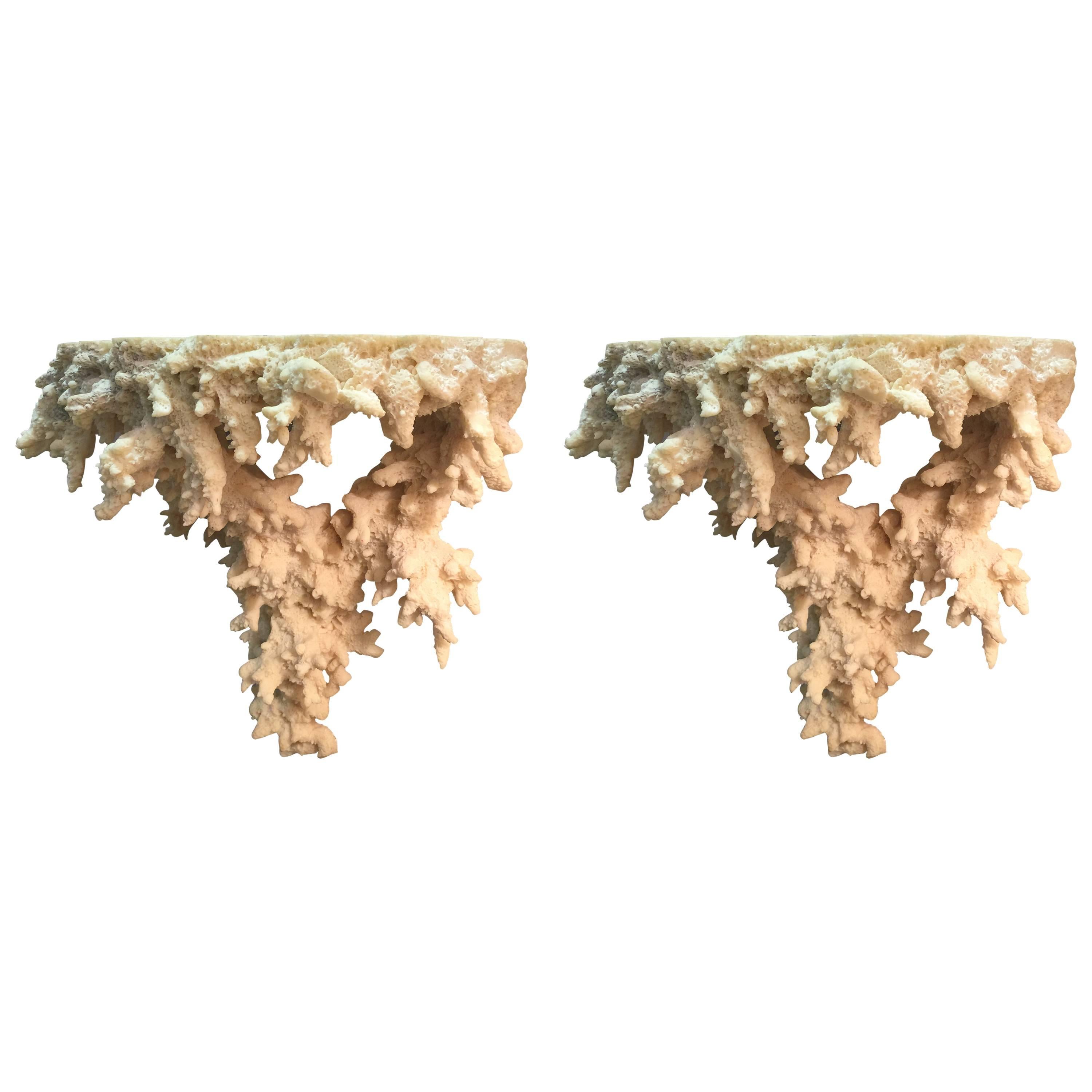 Pair of Faux Coral Wall Brackets/Shelves