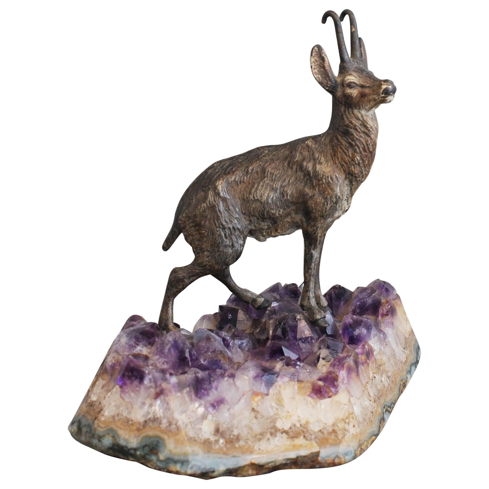 Very Realistic and Unusual So Called Chamois Deer, circa 1900 For Sale