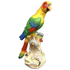 Large Meissen Style Porcelain Parrot