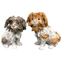 Two Meissen Bolognese Dogs, 19th Century