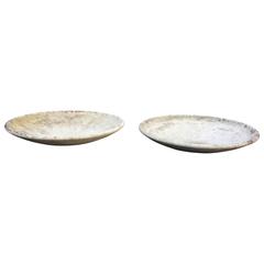Pair of Large Willy Guhl Saucer Planters