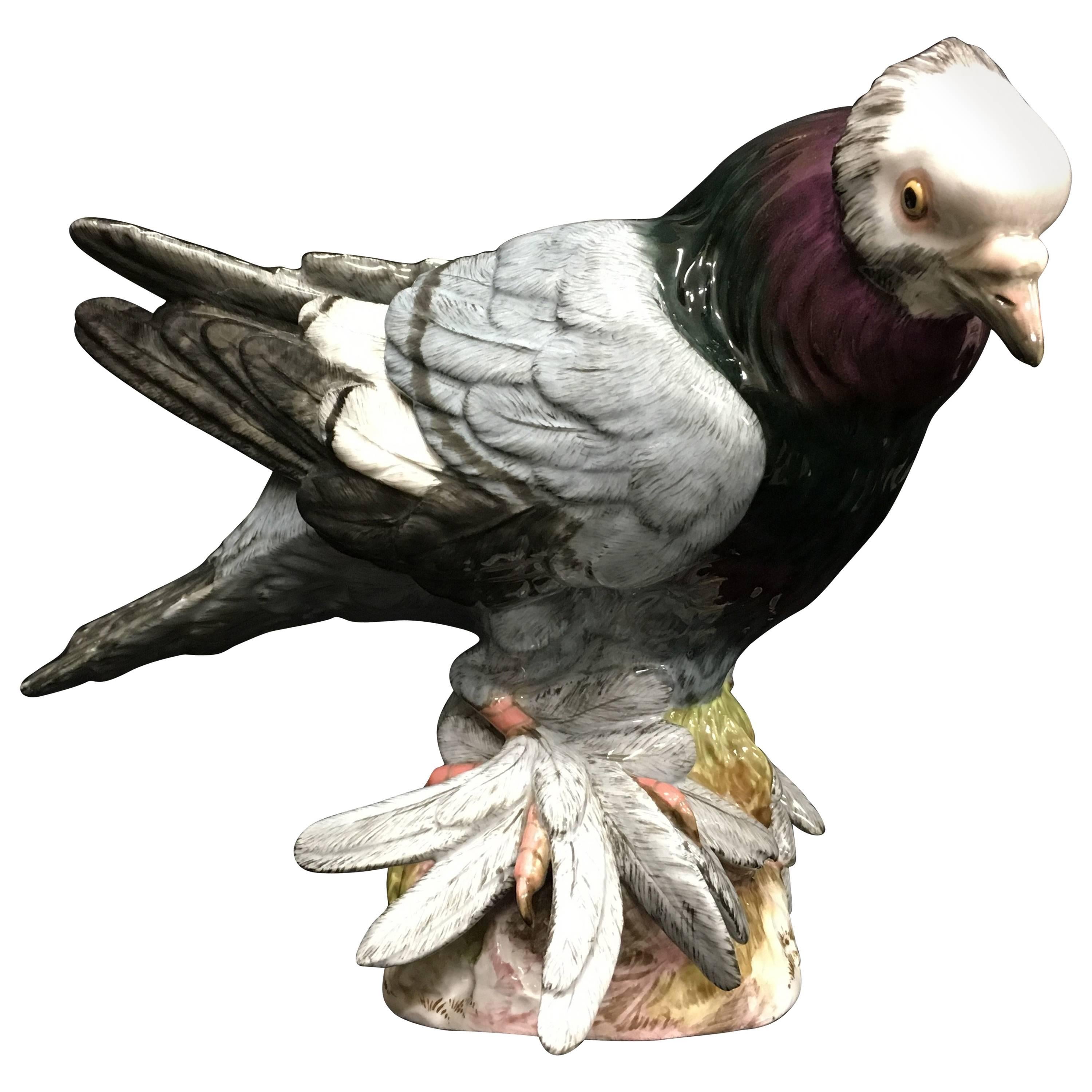 Meissen Porcelain Pigeon