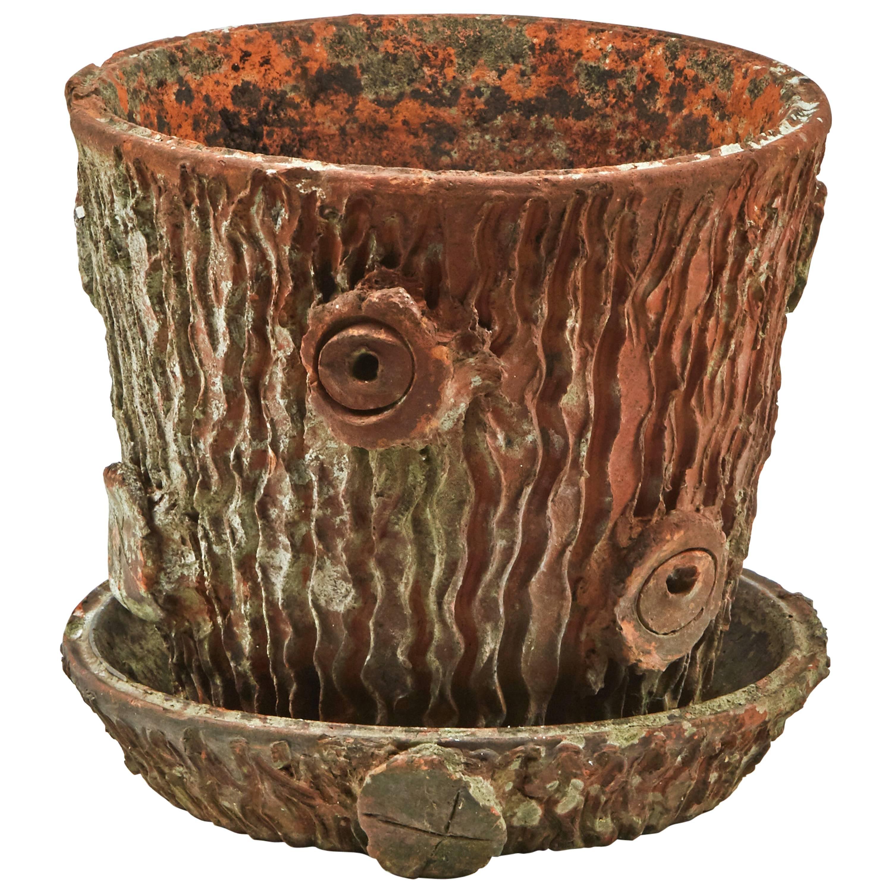 A Terra Cotta Pot in the Shape of a Tree Trunk 