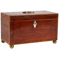 1800s English Tea Caddy Box in Mahogany