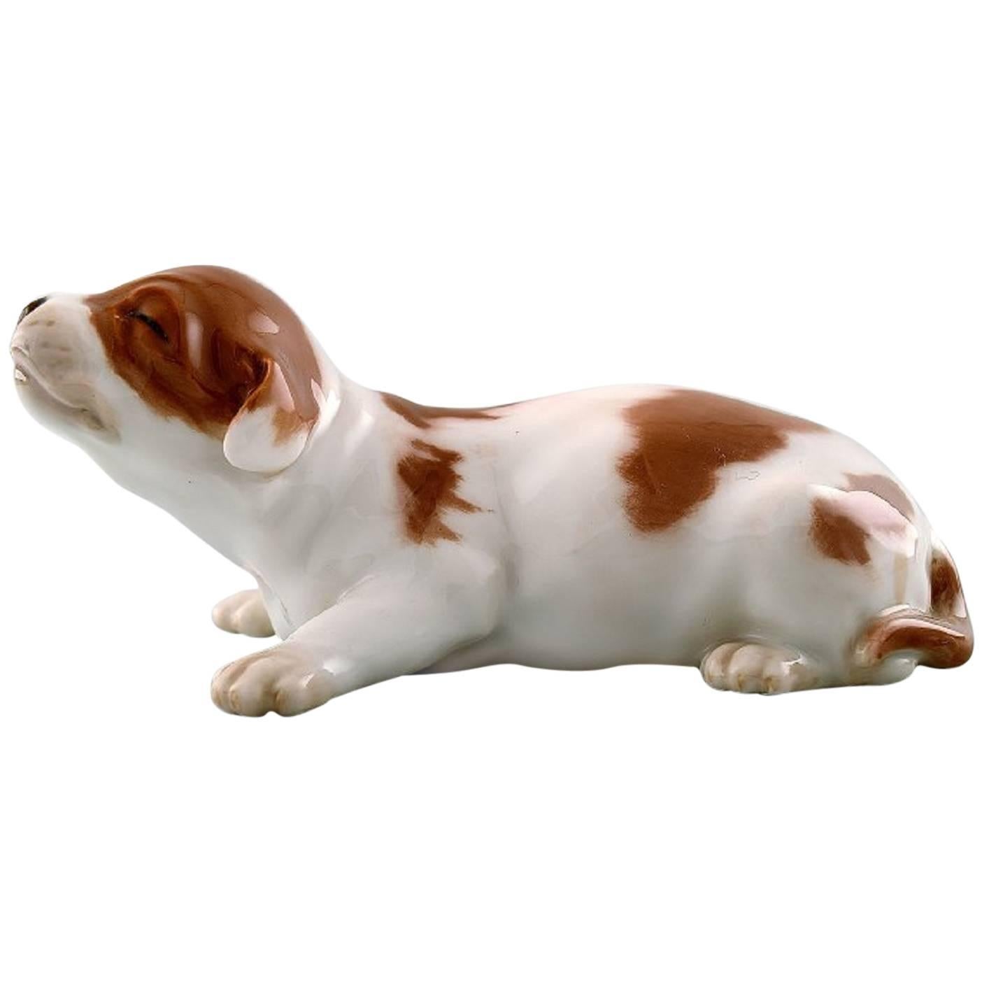 Royal Copenhagen Dog Figurine Number 1204 Basset Puppy
