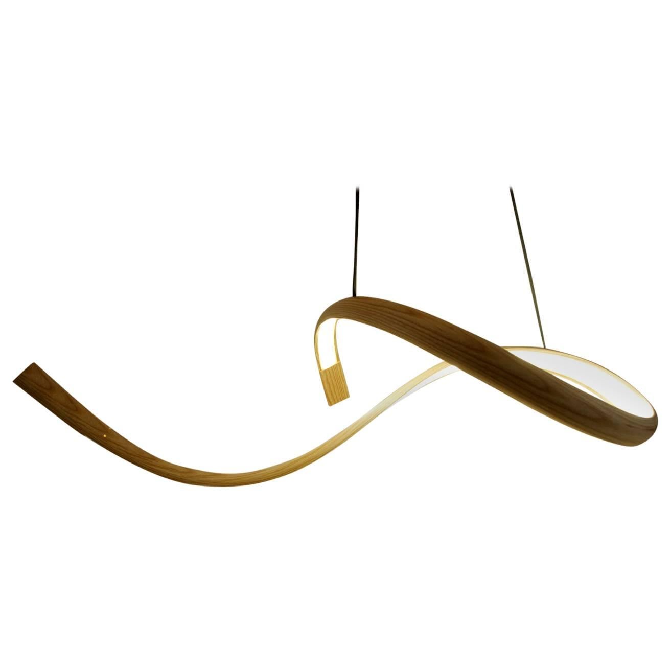 John Procario, Pendentif de forme libre I, États-Unis, 2016 en vente