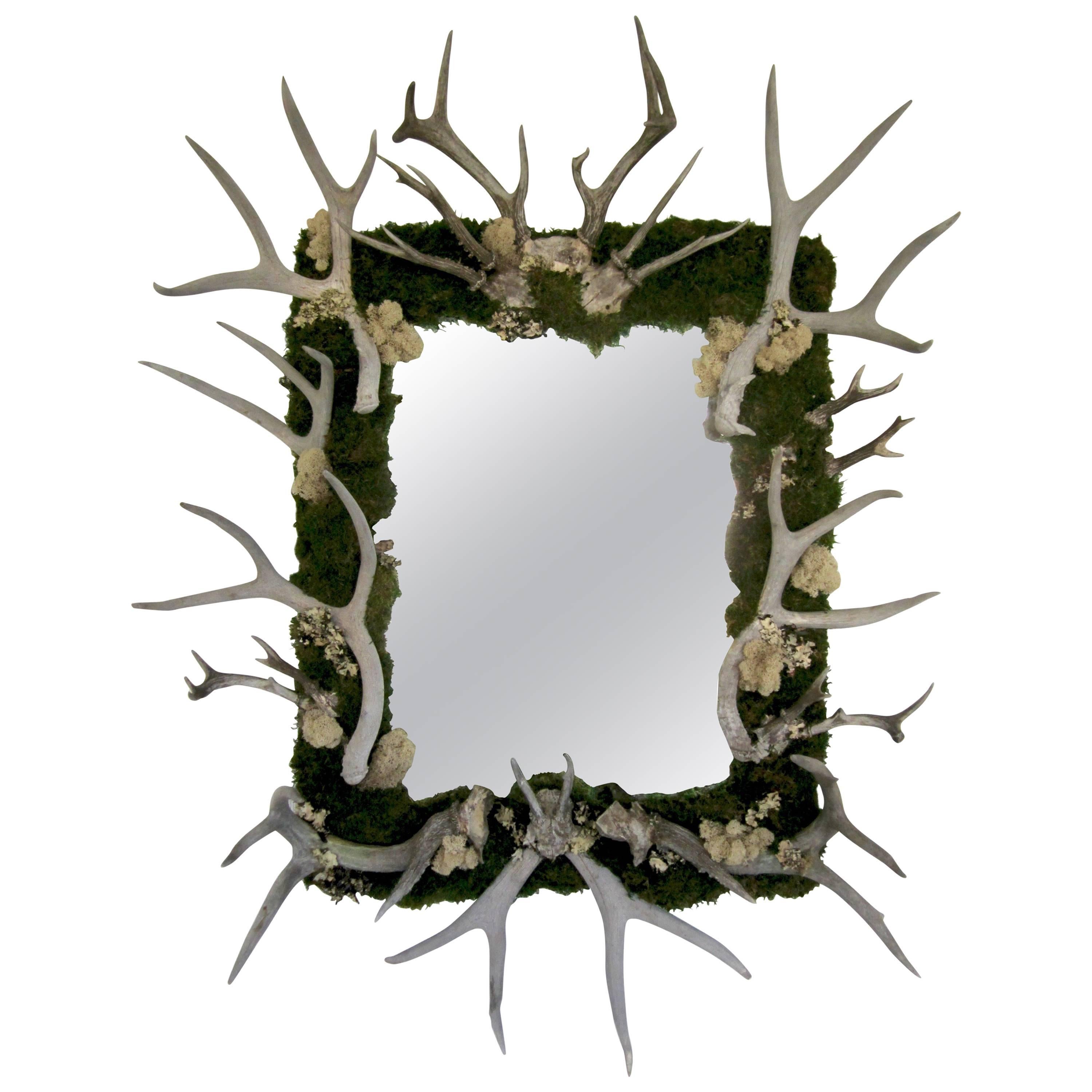 Antler and Preserved Moss Mirror