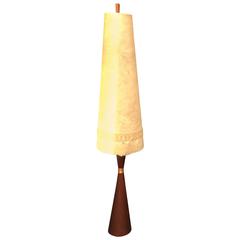 Danish Mid-Century Teak Floor Lamp of Diabolo Shape 1
