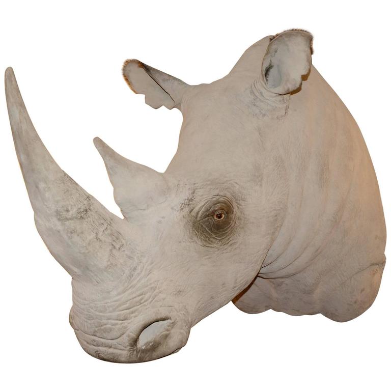 Rhinoceros Head Sculpture in Fiberglass Exceptional Finishing For Sale