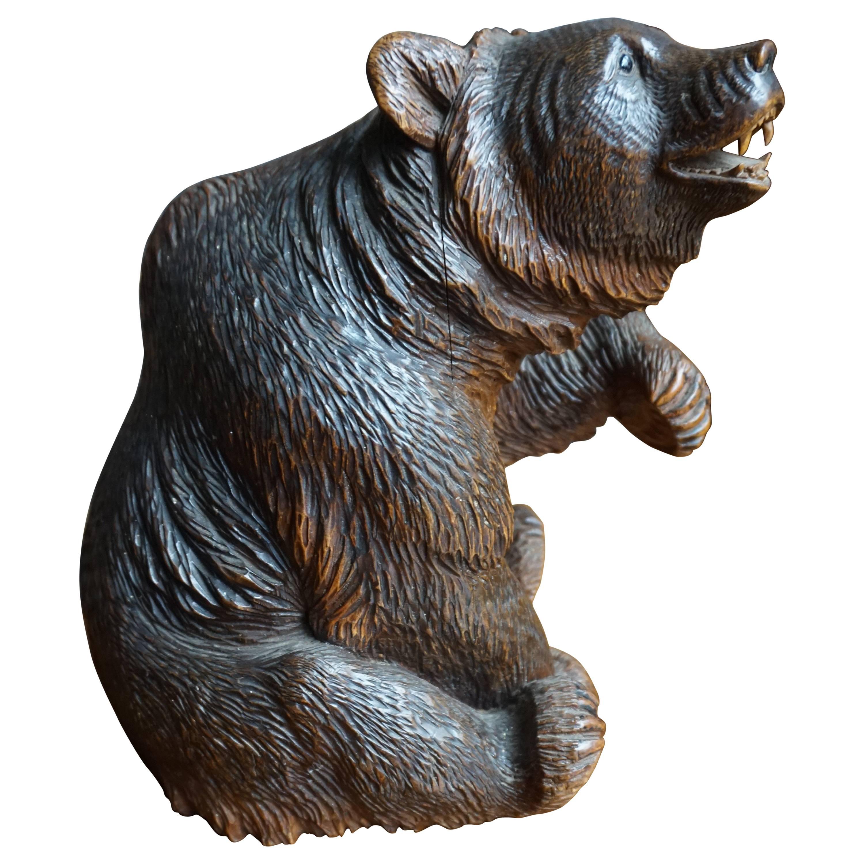 Antique Top Quality Carved Black Forest Bear Sculpture and Striking Deskpiece