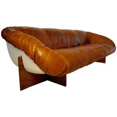Fine and Rare Percival Lafer Sofa in Leather, Fibreglass and Rosewood “Brazil”