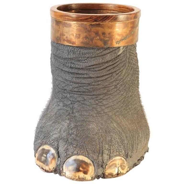 Taxidermy Elephant's Foot Umbrella or Cane Stand For Sale at 1stDibs
