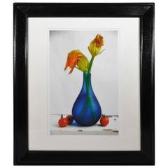 "The End of Summer" Still Life Photograph by Michael T. Jermyn, 2007 11