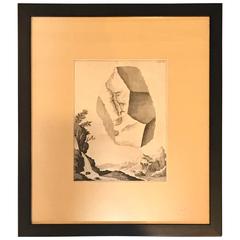 Pen and Ink Drawing 8