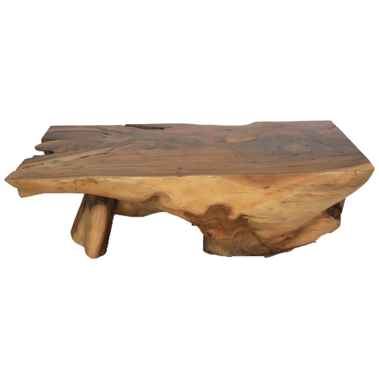 Tropical Hardwood Root Coffee Table