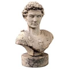 Painted Cement Bust of Alexander the Great on Marble Base