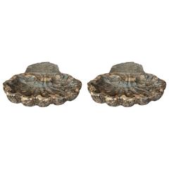 One Pair of Shells in Italian marble-Breccia Policroma