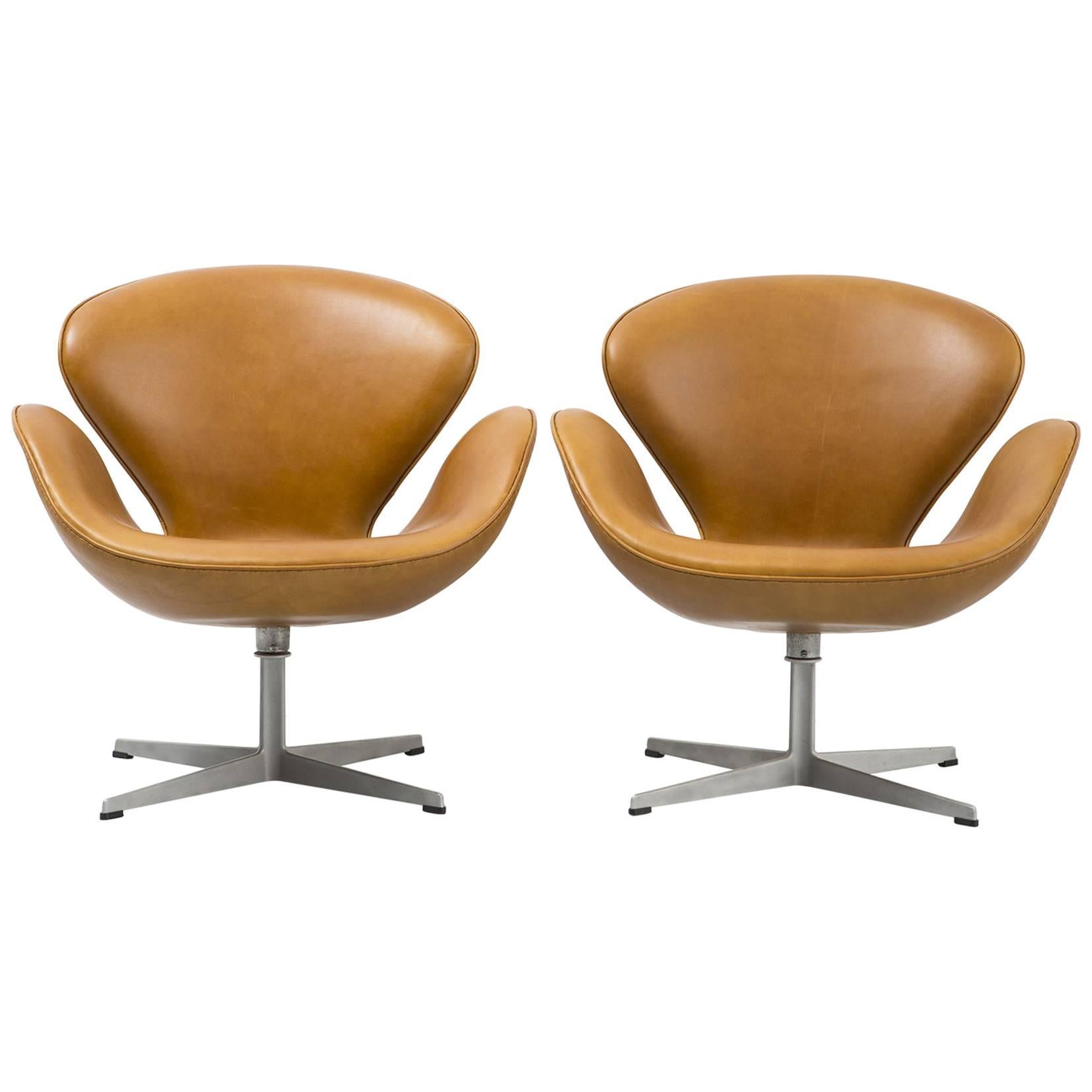 Set of Mid-Century Modern Swan Chairs by Arne Jacobsen Freshly Reupholstered