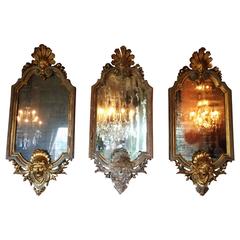 Antique Three Unique Neo-Baroque Mirrors with Richly Carved Guilded Frames