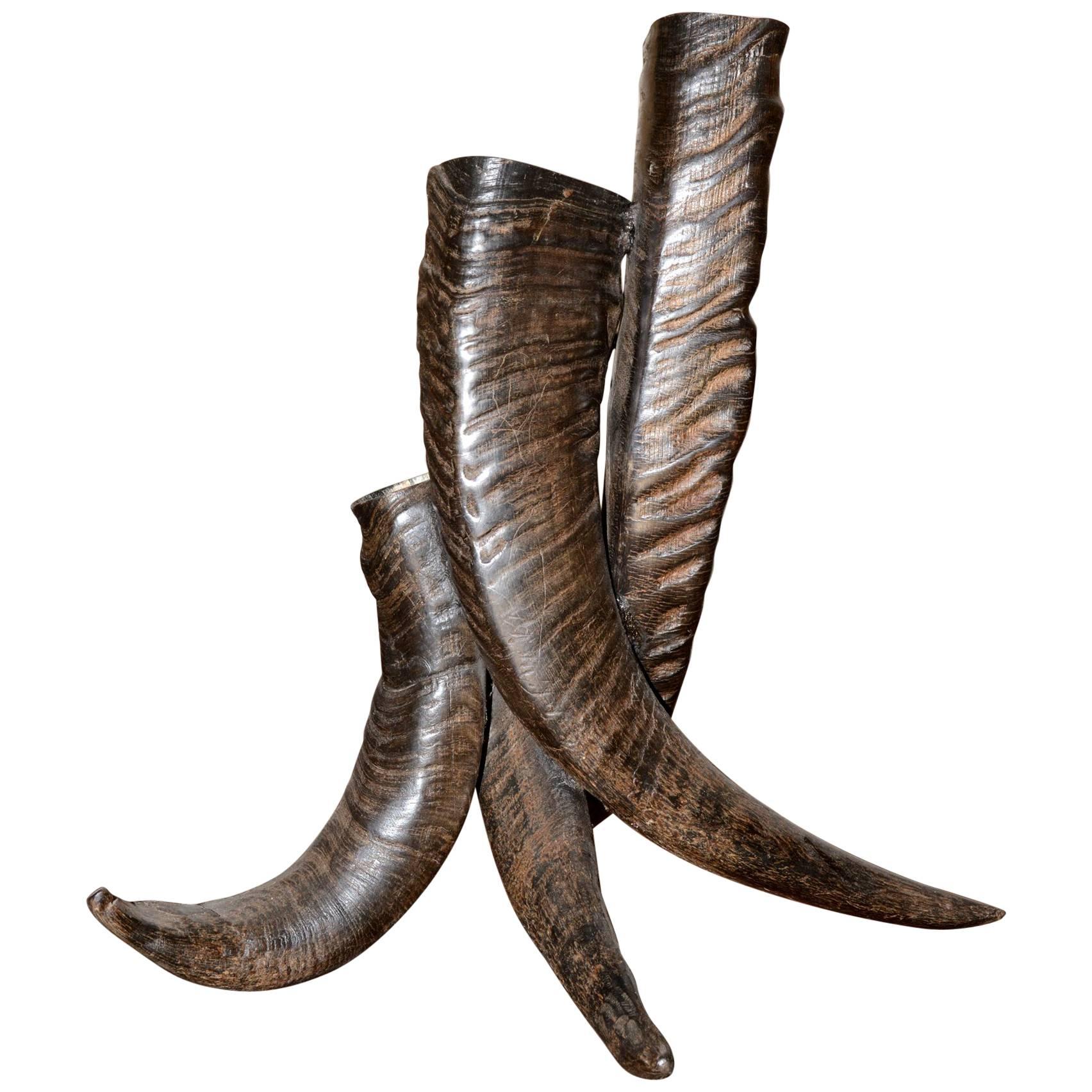 Horns Vase with Real Buffalo Horns