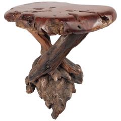 Mid-Century Modern Live Edge Side Table 4
