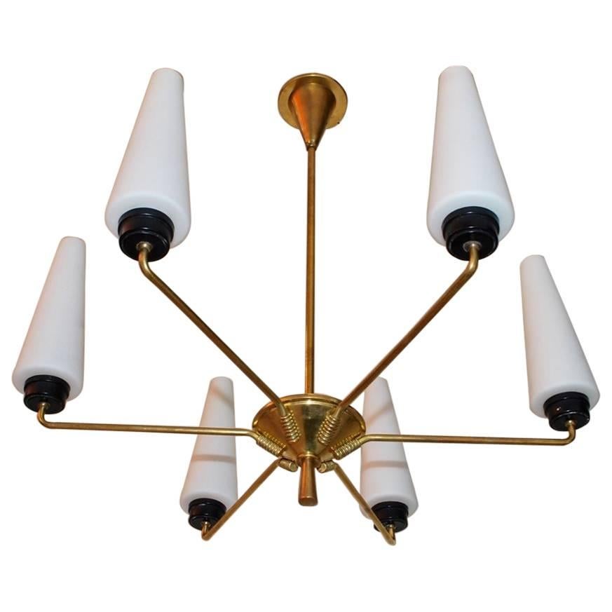 Elegant French Mid-Century Chandelier For Sale