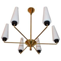 Elegant French Mid-Century Chandelier