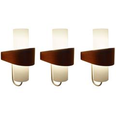 Model 'Nx40' Wall Sconces by Louis Kalff for Philips, Netherlands, Late 1950s