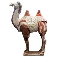 Tang Sculpture of a Camel