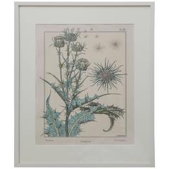 Thistle Painting 9