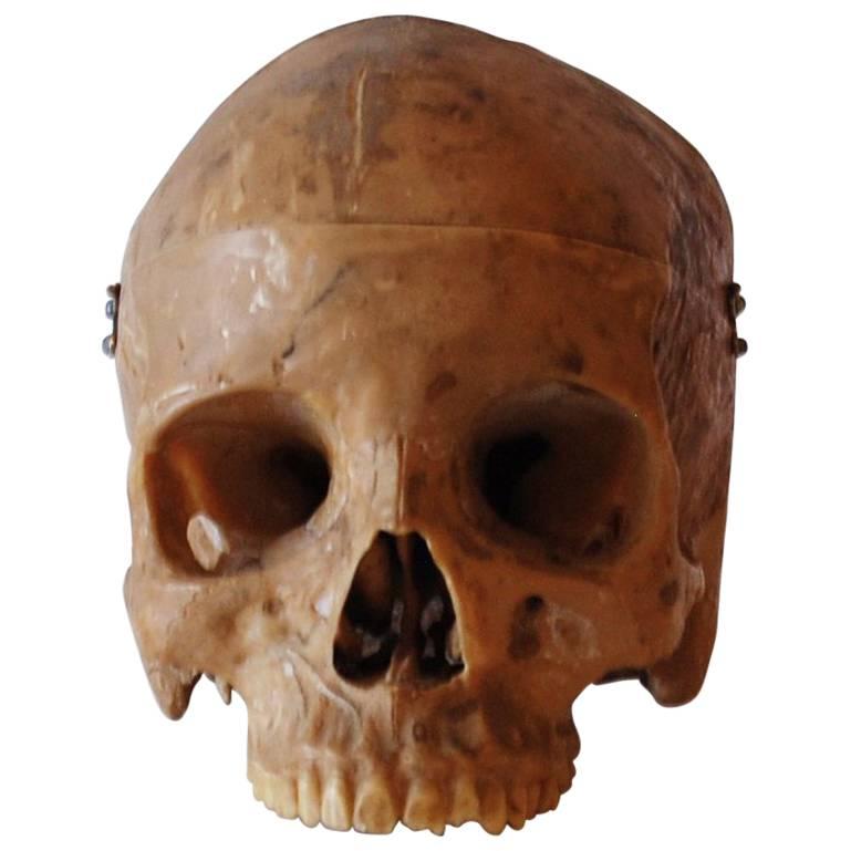 Skull Model