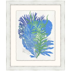 Graphic Sea Life Prints