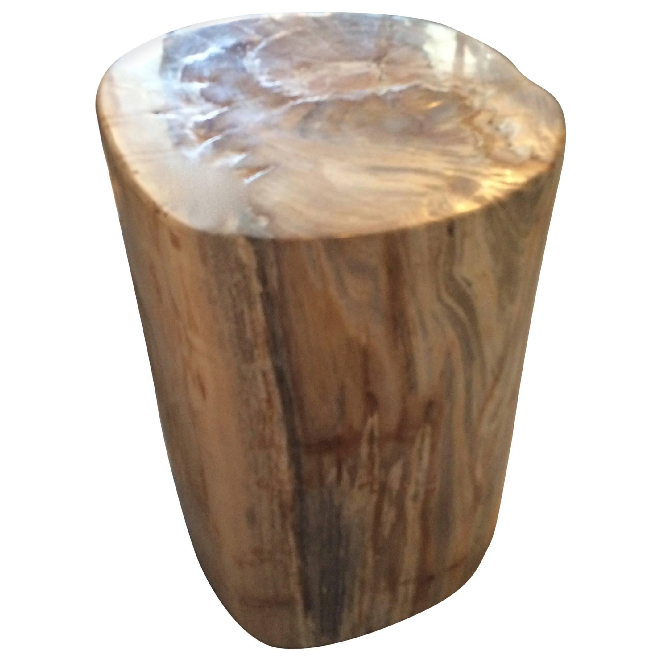 Petrified Wood Side Table or Table Base