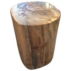 Antique Petrified Wood Side Table or Table Base
