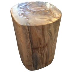 Petrified Wood Side Table or Table Base 8