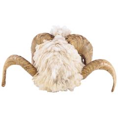 Vintage Ram Horns Sculpture with Lamb Fur