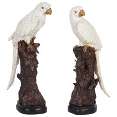 Handsome Pair of Lifesize White Glazed Terra Cotta Parrots