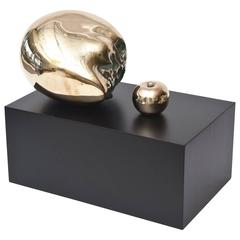 Polished Bronze Skull Head and Apple Sculpture 11