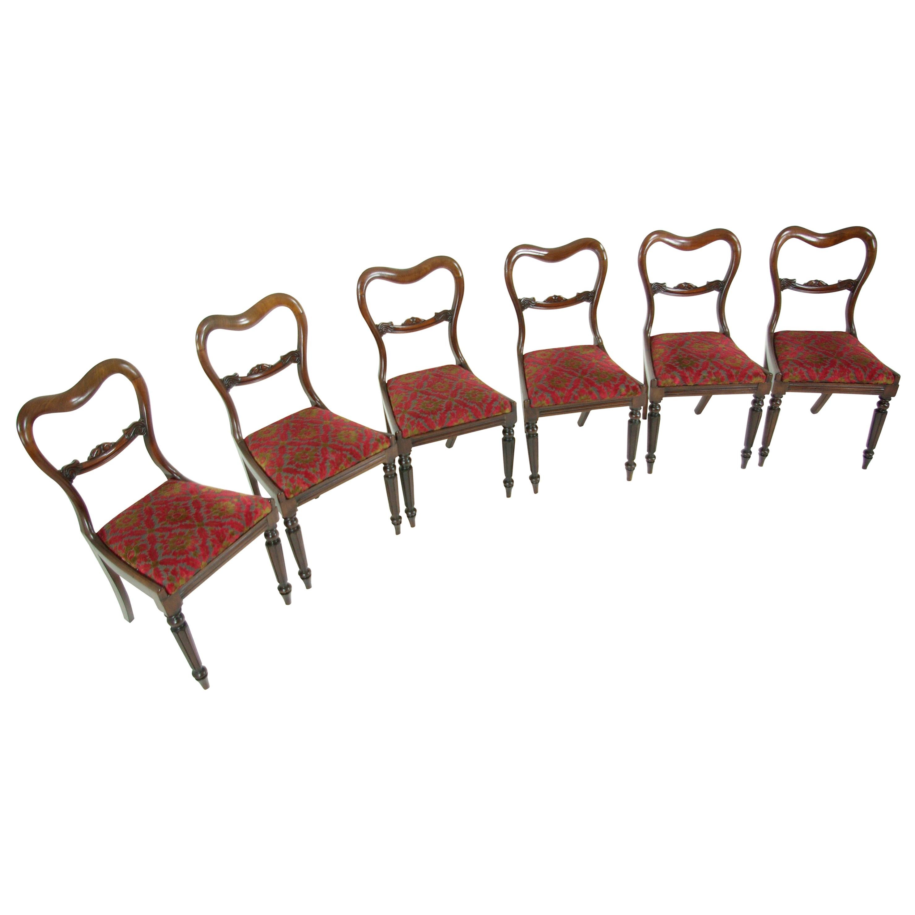 Antique Dining Chairs, Carved Backs, Set of Six, Regency, Liftout Seats, B607