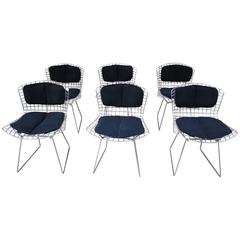 Bertoia Chairs in Chrome with Original Knoll Cushions, USA, 1960s