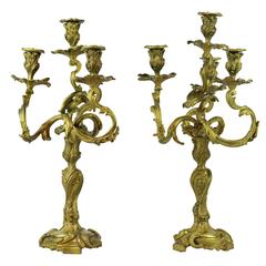 Pair of 19th Century French Louis XV Style Rococo Gilt Bronze Candelabras