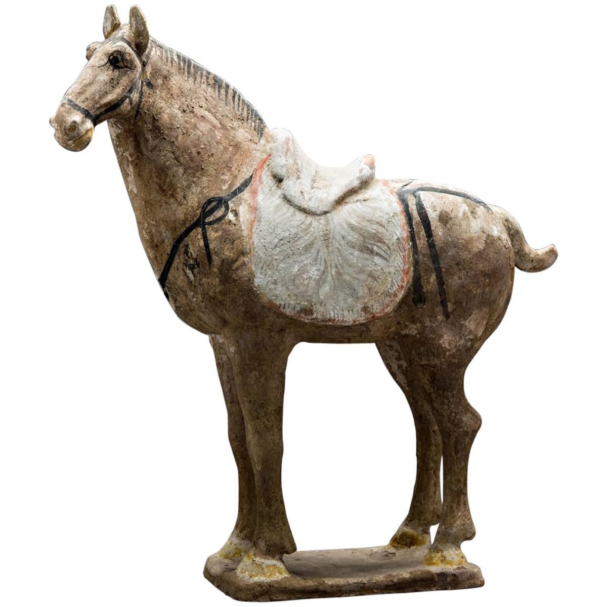 Tang Sculpture of a Horse For Sale