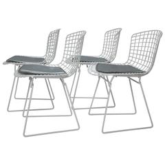 Four Harry Bertoia for Knoll Wire Chairs with Original Seat Pads, USA, 1960s