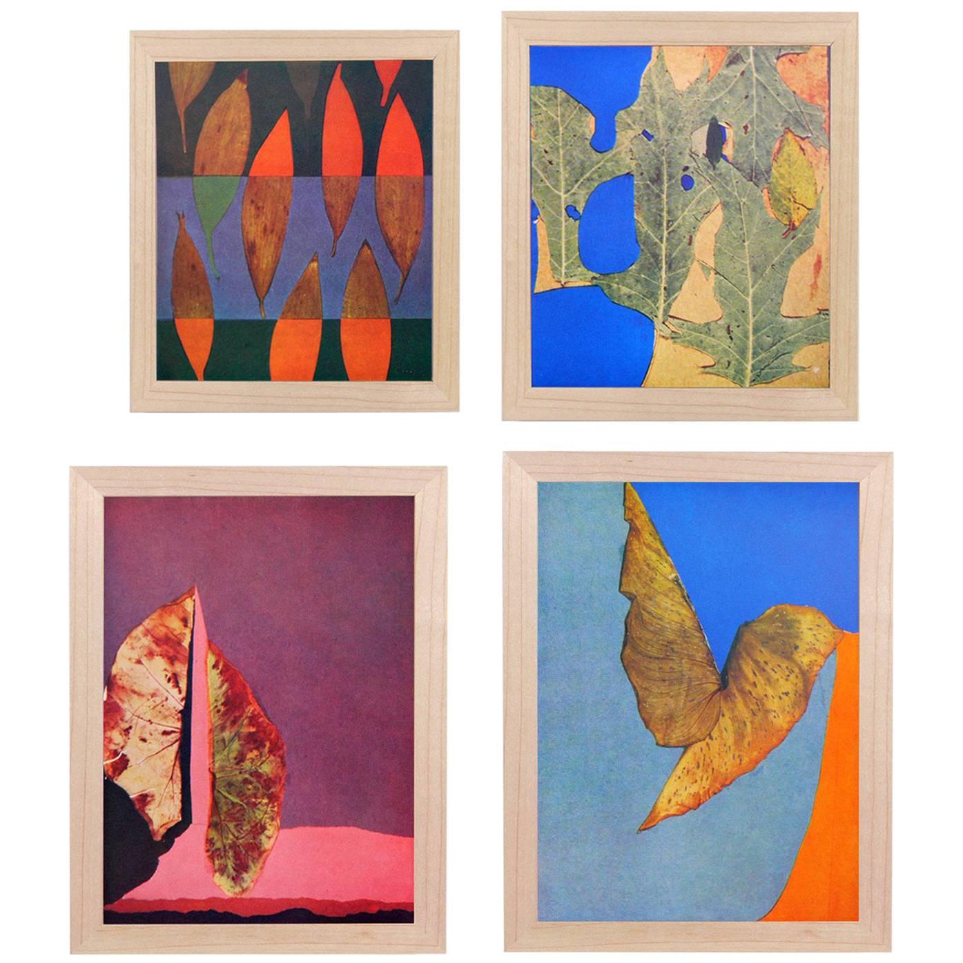 Josef Albers Abstract Leaves Lithographs from Interaction of Color