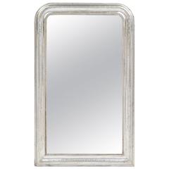 French Antique Silver Leaf Louis Philippe Mirror 5