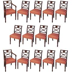 Set of 14 Regency Period Mahogany X-Frame Dining Chairs 12