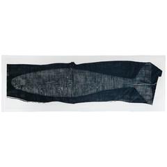 Shockwave Cetacean 11
