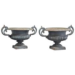 Pair of Antique Cast Iron French Urns