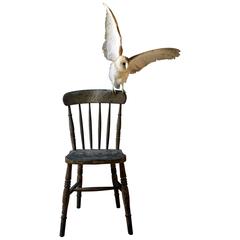 ‘Prophecy’ Beech Victorian Side Chair